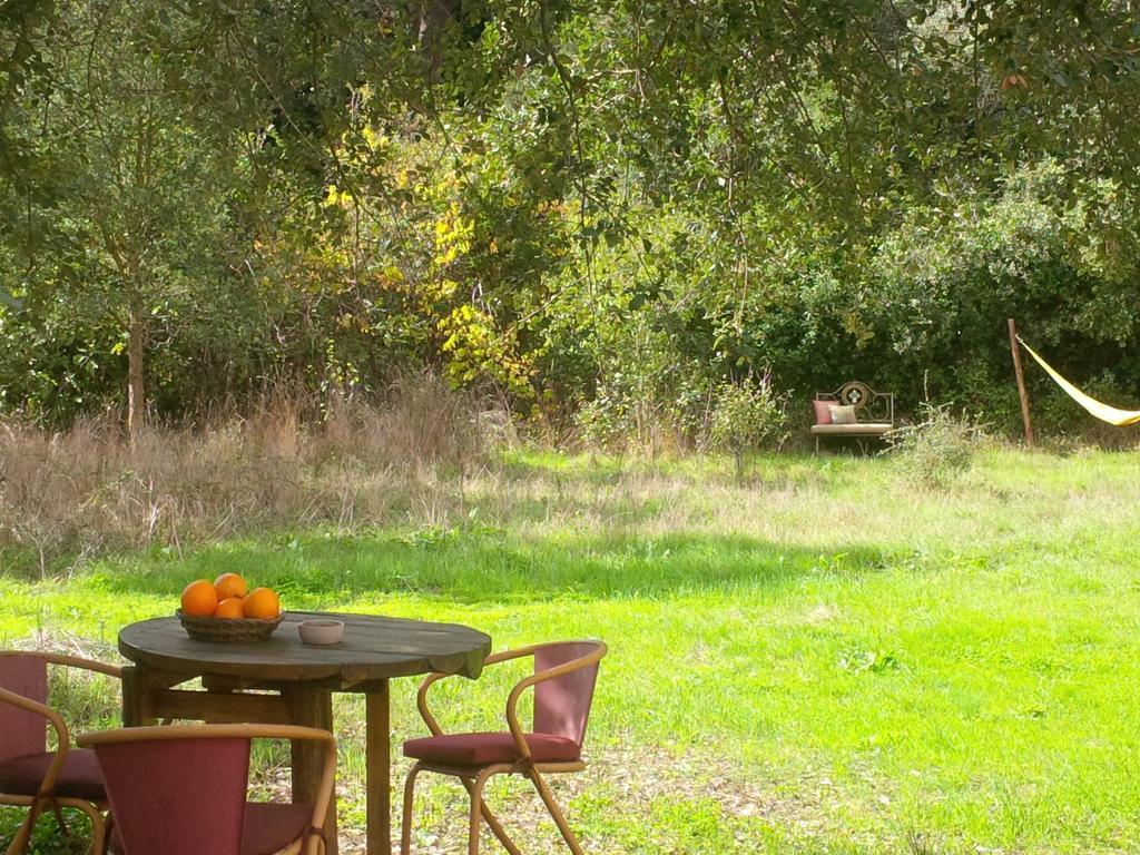 Quiet And Cottage In The Estate Casas Da Cerca Troviscais Buitenkant foto